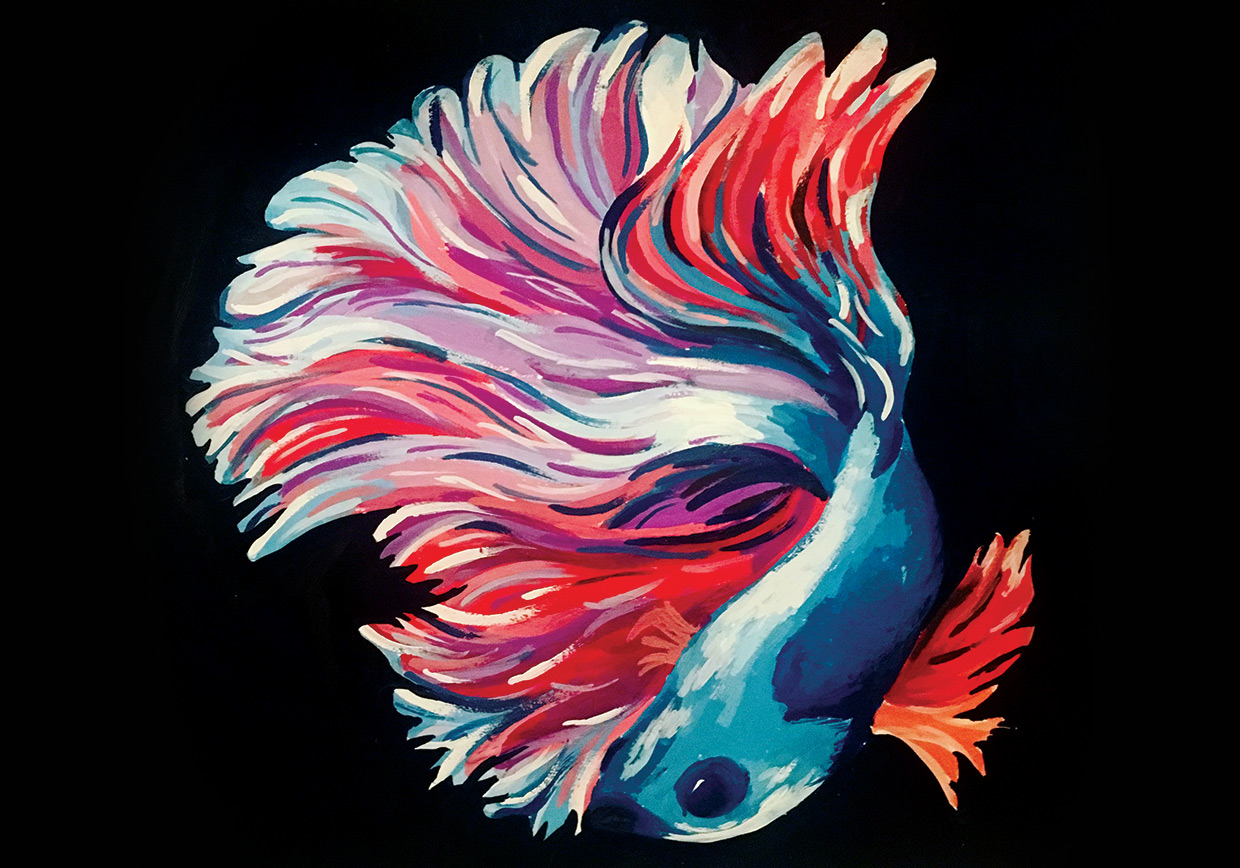 Siamese Fighting Fish